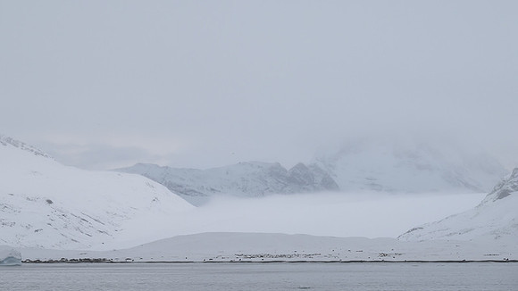 South Georgia
