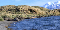 South Georgia