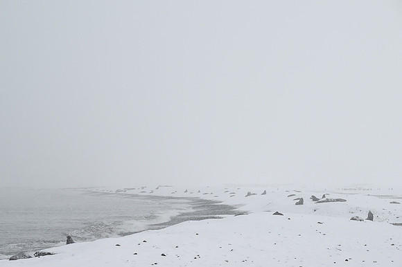 South Georgia