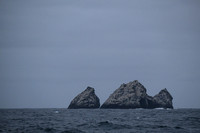 South Georgia