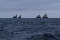 South Georgia