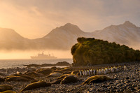South Georgia