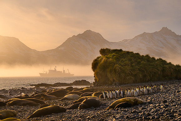 South Georgia