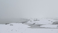South Georgia