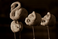 Flamingo / Flaming
