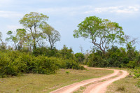 Brazil