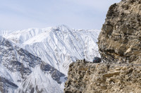 Tibet