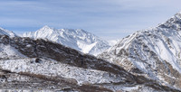 Tibet