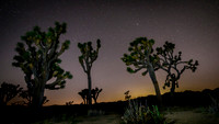Joshua Tree National Park