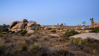 Joshua Tree National Park