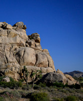 Joshua Tree National Park
