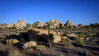 Joshua Tree National Park