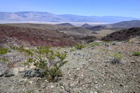 Death Valley