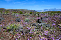 Death Valley
