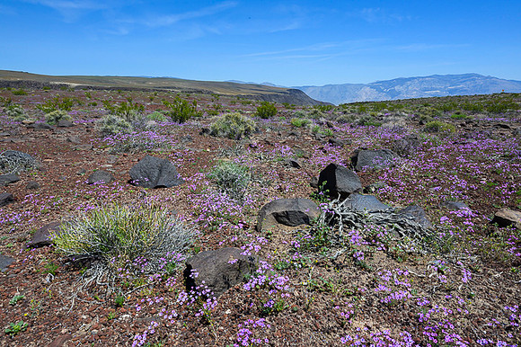 Death Valley