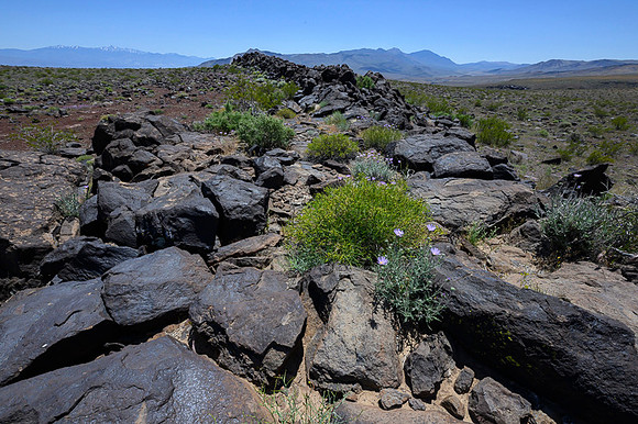 Death Valley