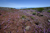 Death Valley
