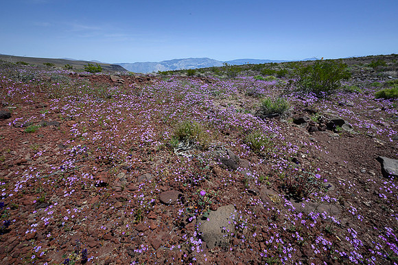 Death Valley