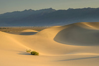 Death Valley