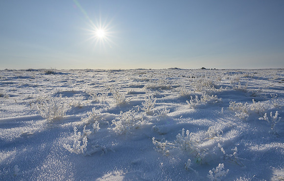 Eastern Mongolian Steppes