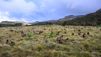 Simien Mountains, Ethiopia