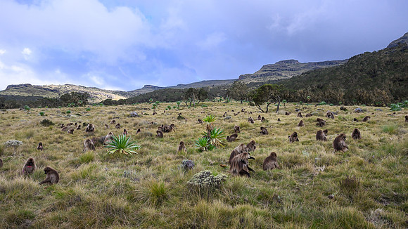 Simien Mountains, Ethiopia
