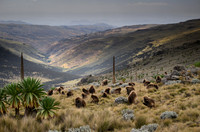 Simien Mountains, Ethiopia