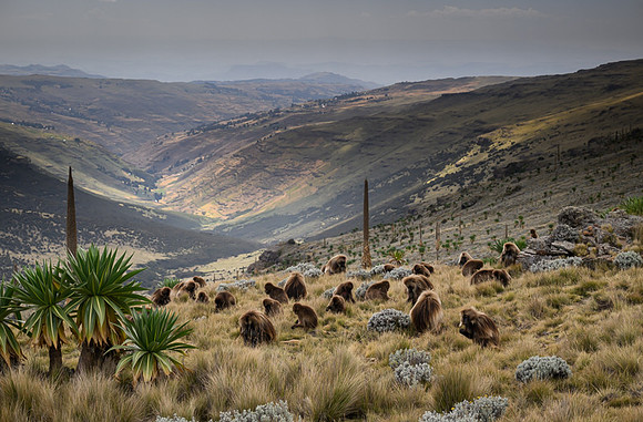 Simien Mountains, Ethiopia