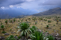 Simien Mountains, Ethiopia