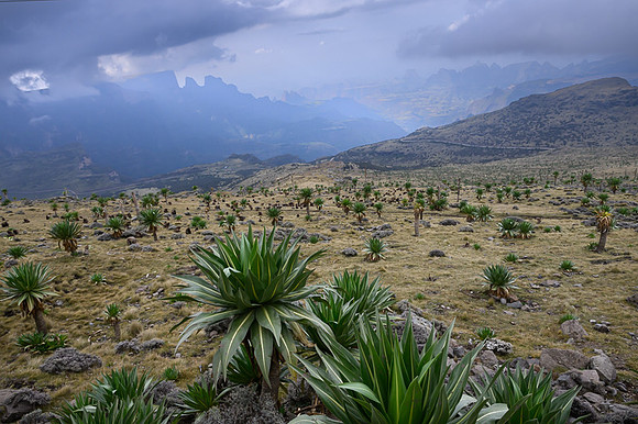 Simien Mountains, Ethiopia
