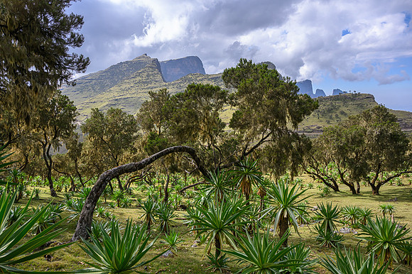 Simien Mountains, Ethiopia