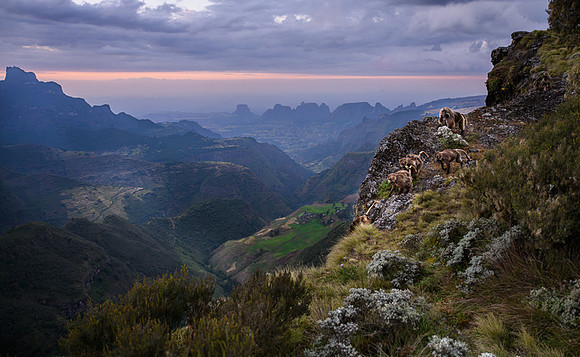 Simien Mountains, Ethiopia