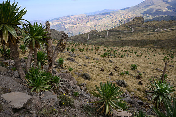 Simien Mountains, Ethiopia