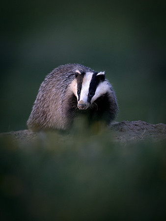 _3503126-Enhanced-NR-1