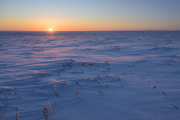 Eastern Mongolian Steppes