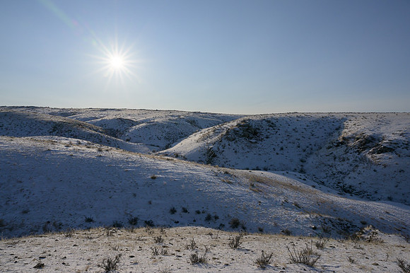 Eastern Mongolian Steppes