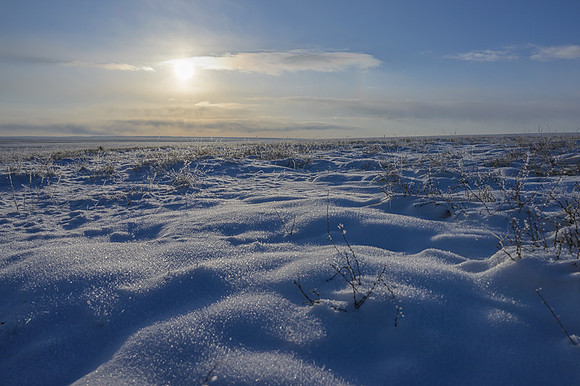 Eastern Mongolian Steppes