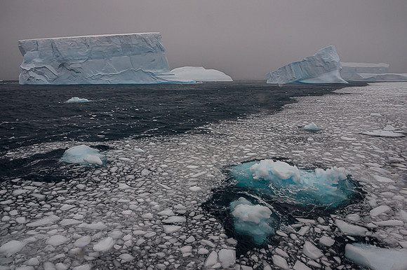 Icebergs, South Georgia