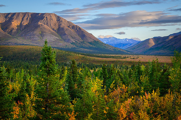 Denali