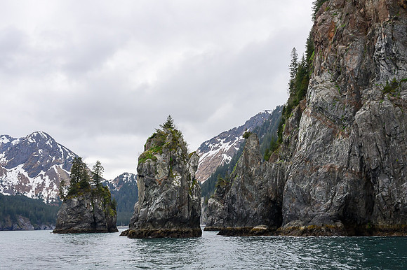 Kenai Fjords