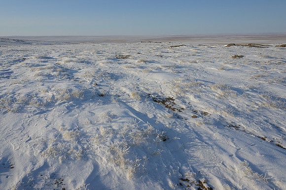 Eastern Mongolian Steppes