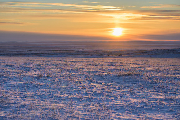 Eastern Mongolian Steppes