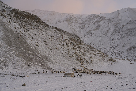 Altai Mountains, Mongolia
