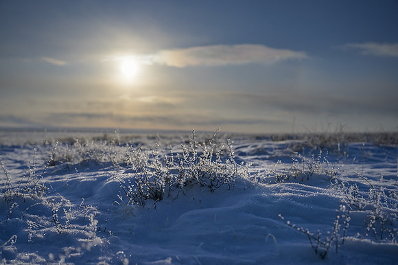 Eastern Mongolian Steppes