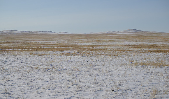 Eastern Mongolian Steppes