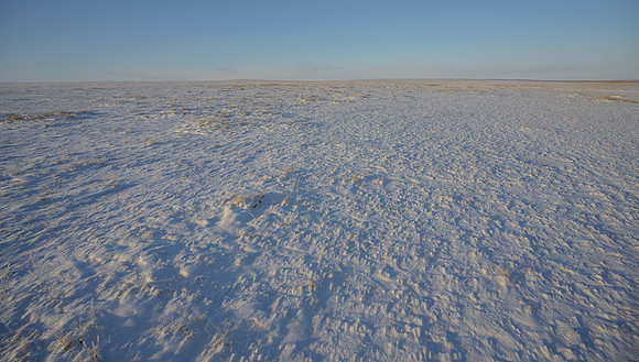 Eastern Mongolian Steppes