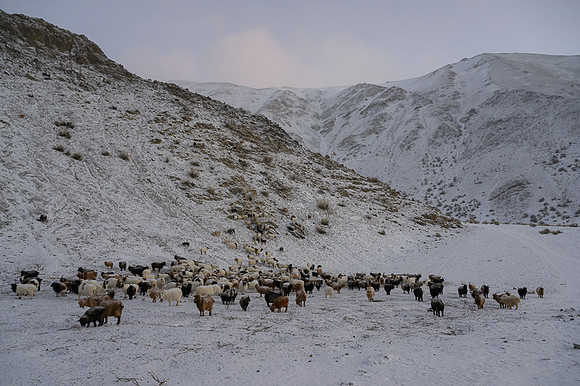 Altai Mountains, Mongolia