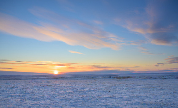 Eastern Mongolian Steppes