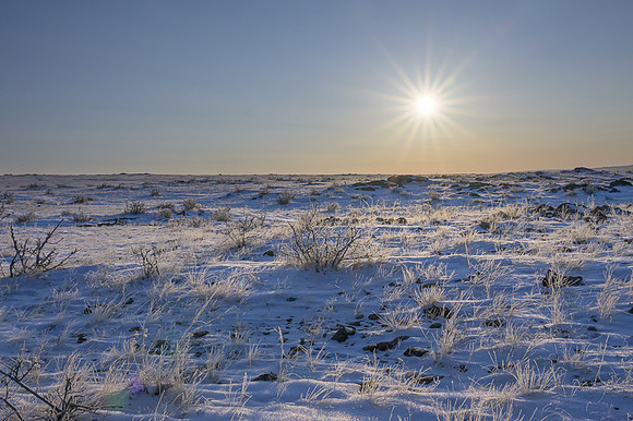 Eastern Mongolian Steppes