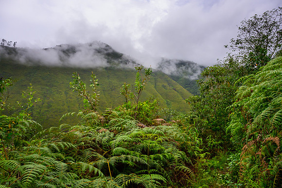 Peru